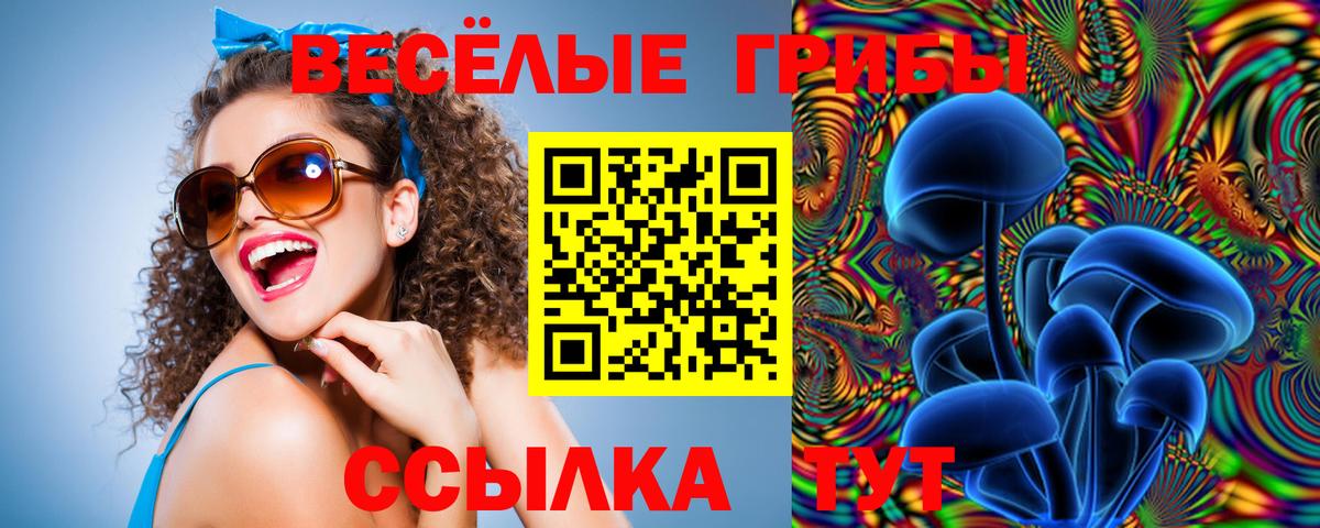 Псилоцибиновые грибы мицелий Назарово